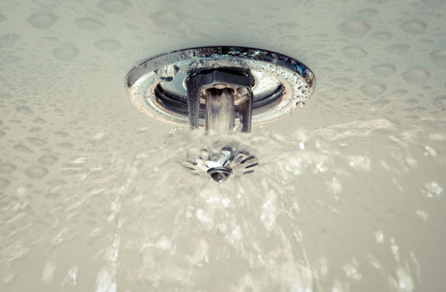 Fire Sprinkler Service and Repair from Bolt Security Guard Services in Phoenix Arizona